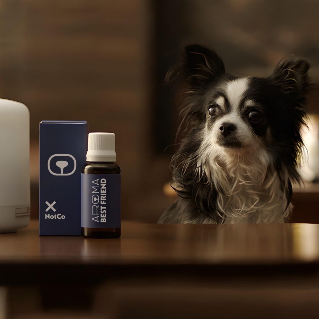 NotCo permitirá recrear el aroma humano con IA para aliviar la ansiedad de las mascotas Un perro junto a un difusor de aromas