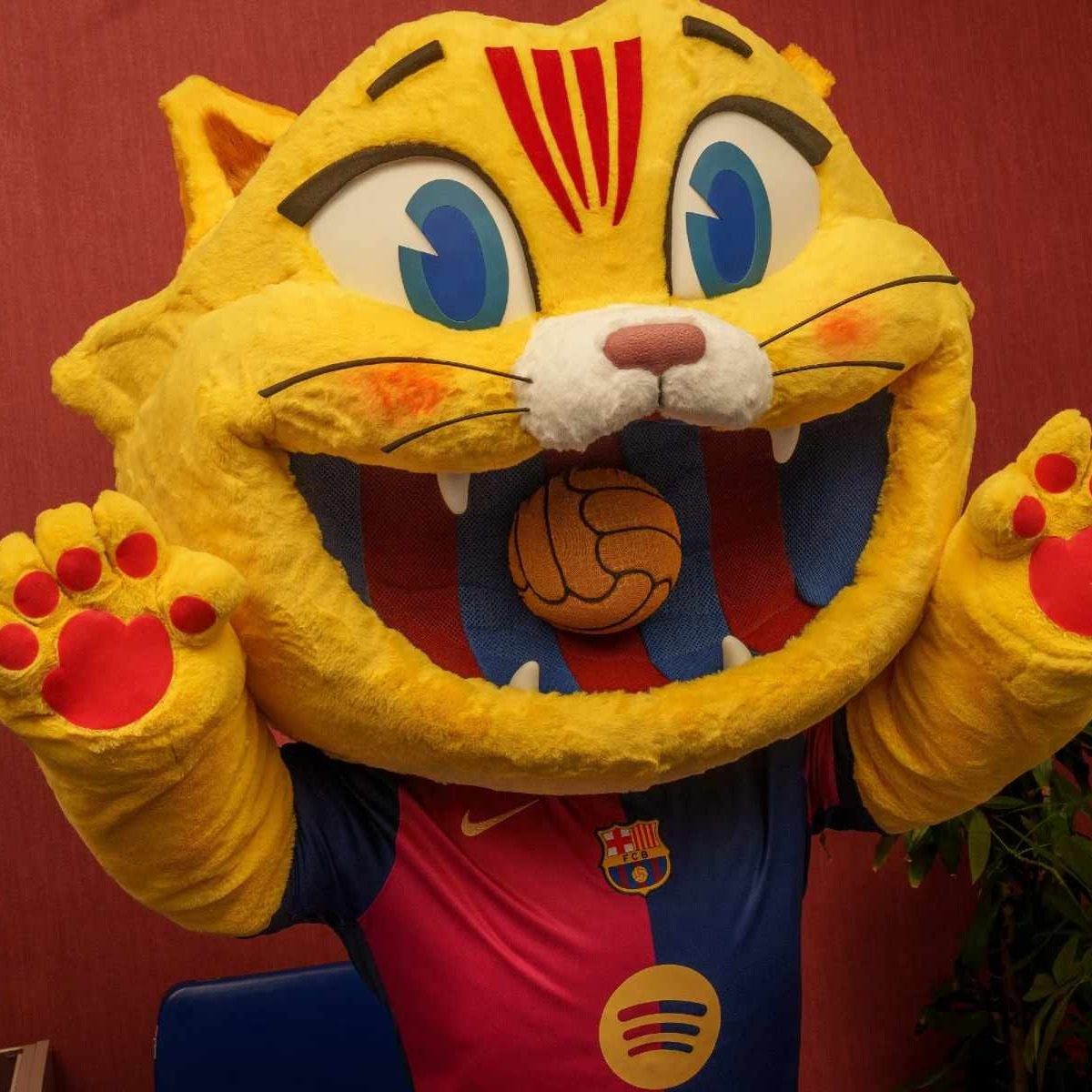 Cat, la mascota de FC Barcelona