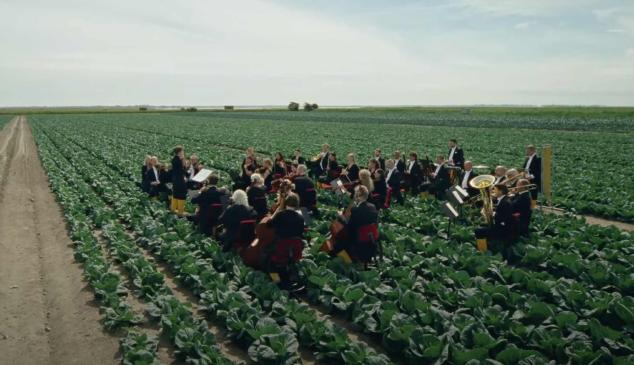 Orquesta tocando música en un campo de cultivo