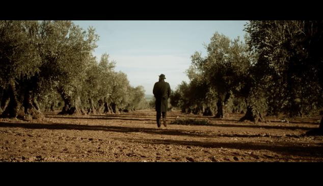 Campaña aceite oliva español