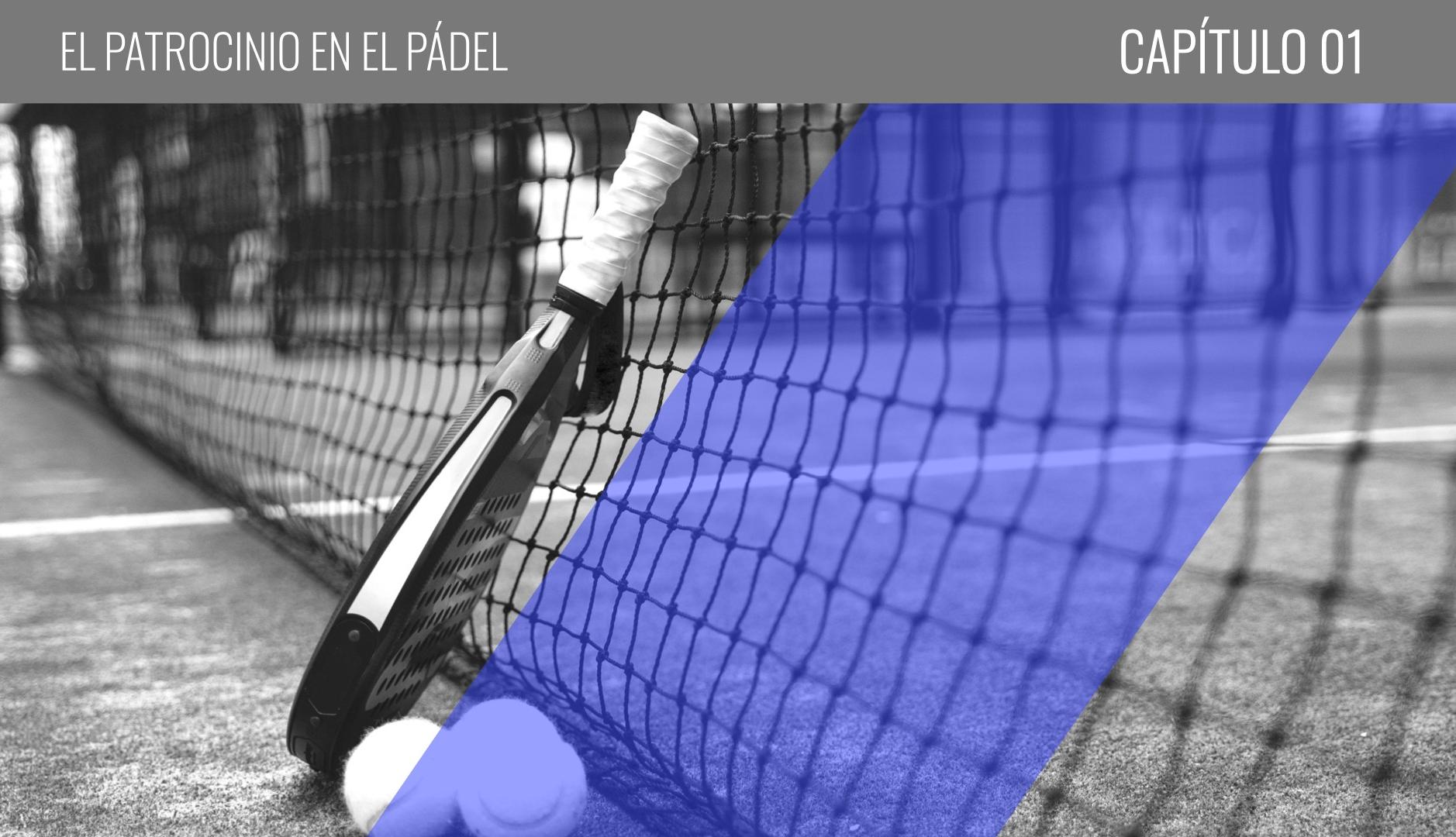 Raqueta y pelotas de pádel apoyadas contra una red