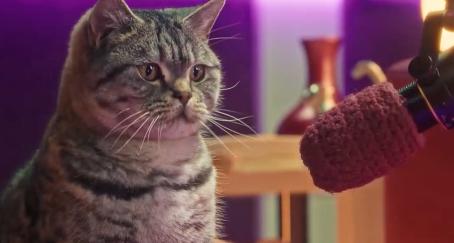 Whiskas crea un podcast presentado por felinos para resolver las dudas de los dueños de gatos Un gato delante de un micrófono de podcast