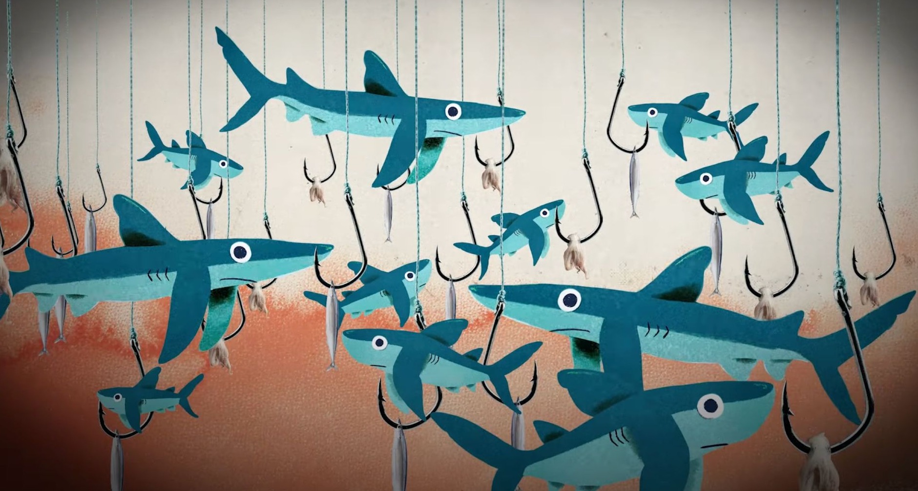 Un emotivo cortometraje de animación de Greenpeace Australia llama a la protección de los océanos Ilustraciones de pesca de tiburones
