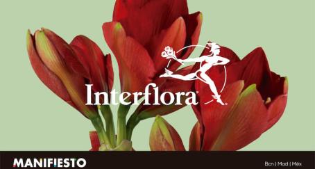 publicidad-interflora