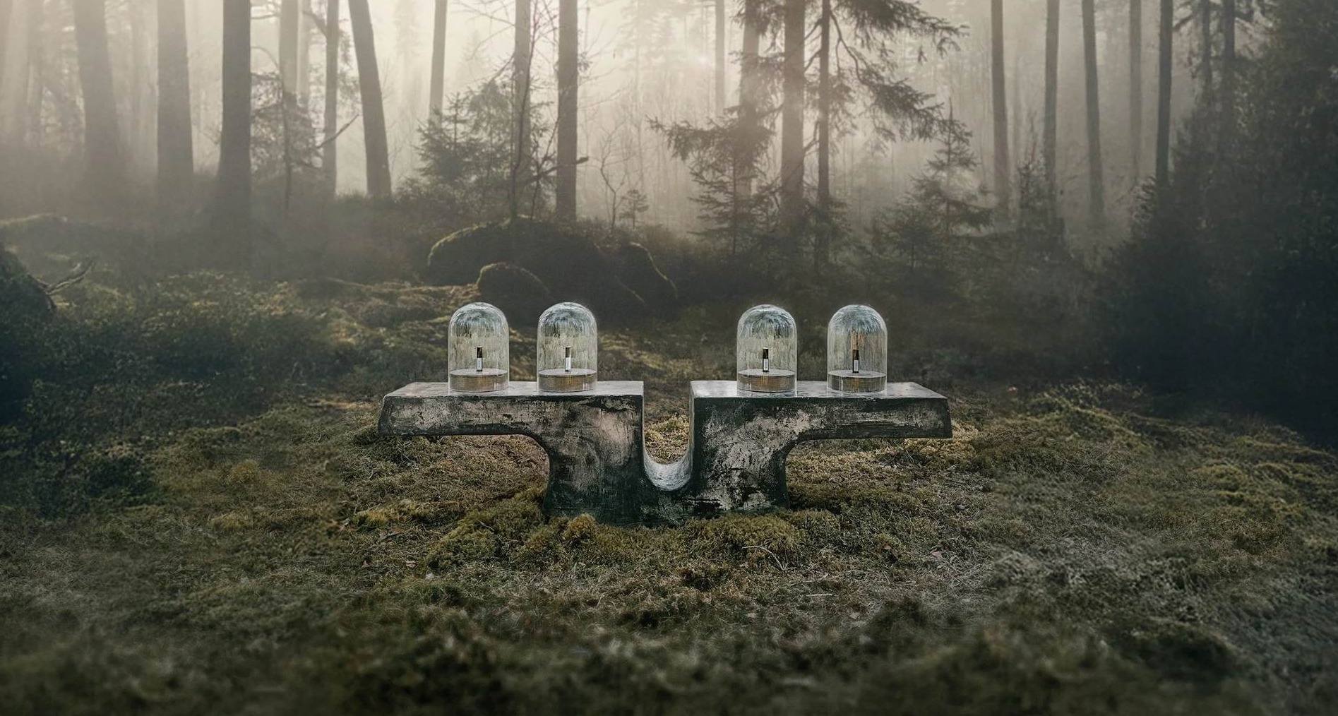 Así es una tienda “anti-express” de perfumes: en un claro en el bosque y con el tiempo como moneda Pedestal en el bosque con fragancias metidas en urnas