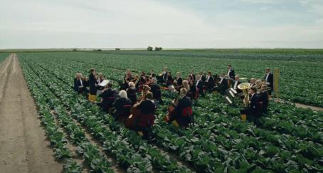 Orquesta tocando música en un campo de cultivo