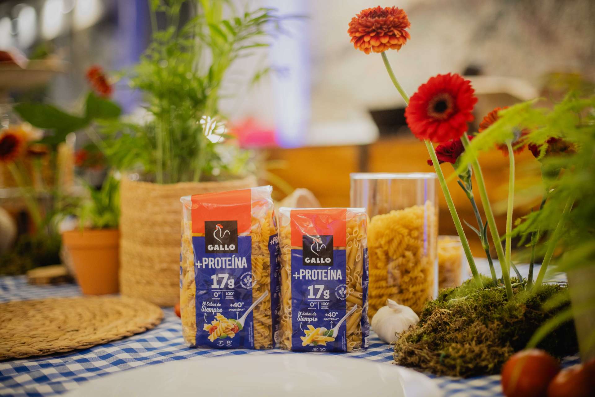 Paquetes de Gallo +Proteína